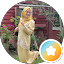 Norazira Abd Majid