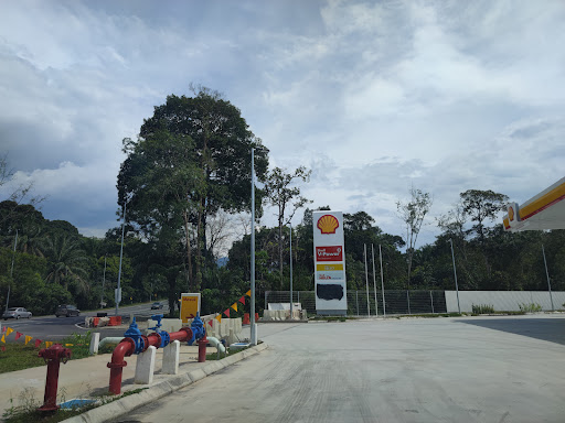Shell