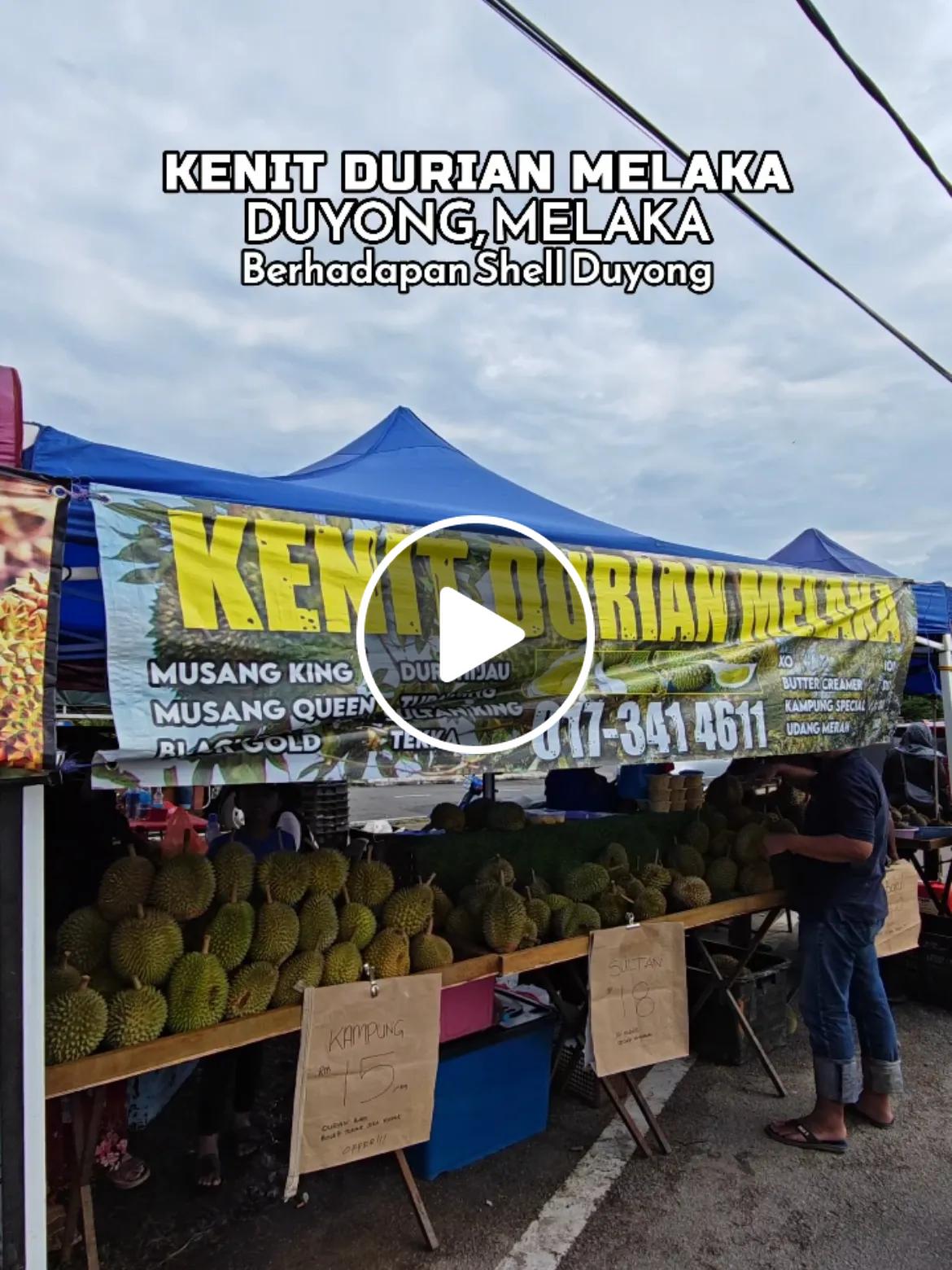 Stesen Minyak Shell Terbaik di Kampung Ayer Molek