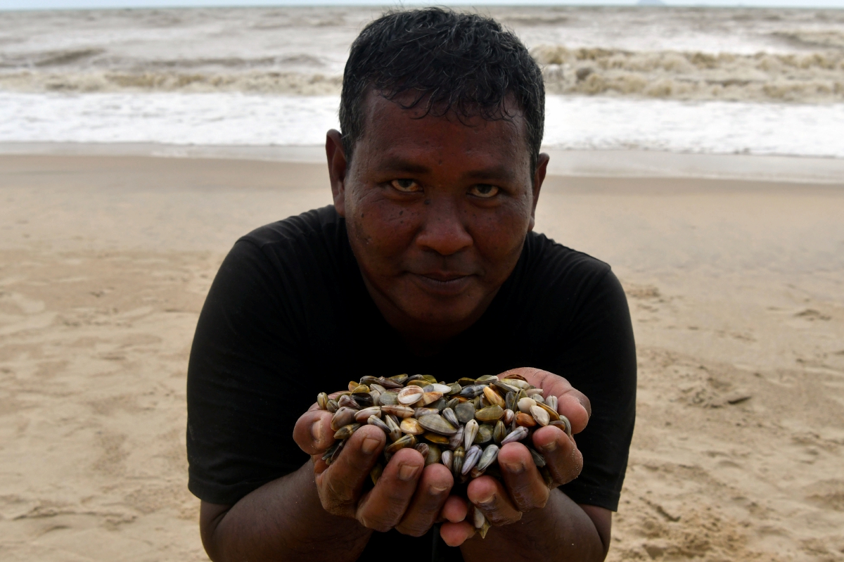 Cengkerang Terindah di Pantai Remis | Keajaiban Pantai Perak