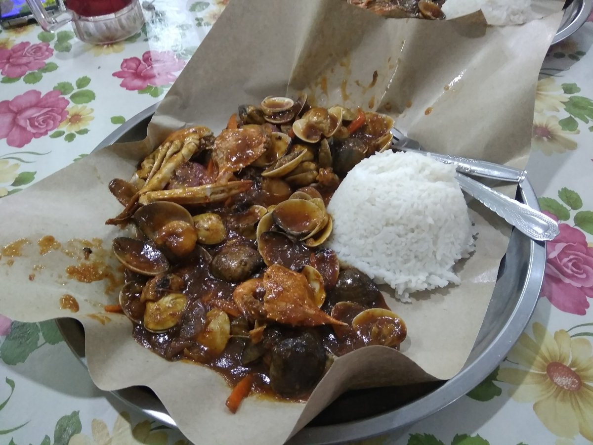 Cengkerang Terbaik di Kuala Perlis untuk Koleksi Pantai Anda